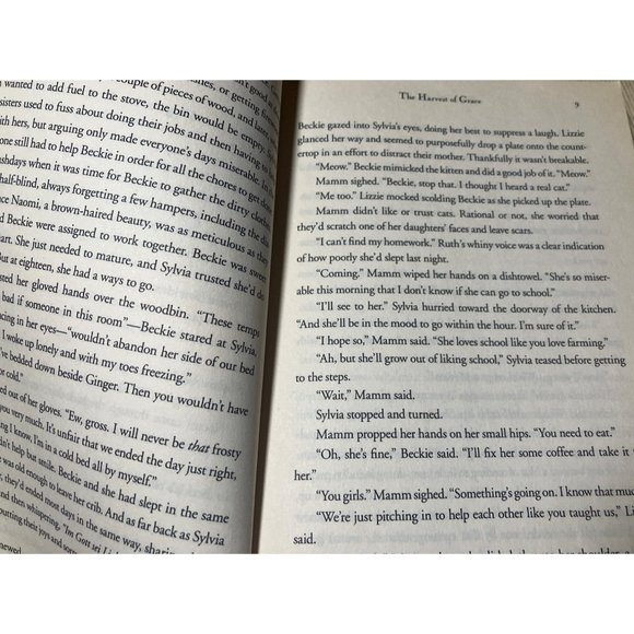 The Harvest of Grace: Book 3 in the Ada's House Amish Romance Series (an Ada's H - Picture 7 of 11